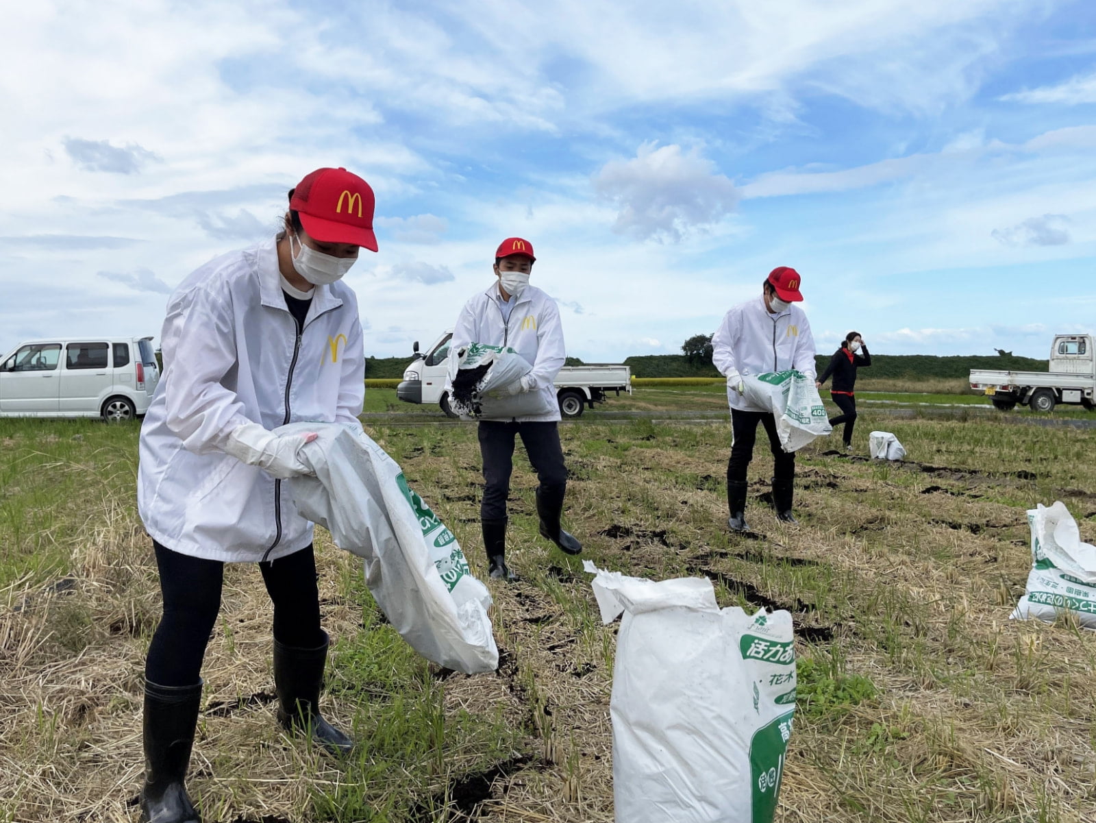 コーヒー豆かすを含んだたい肥を手作業で撒いていく